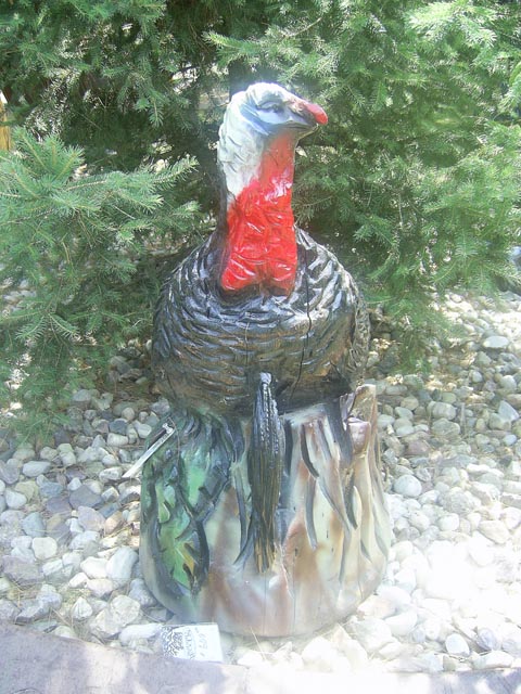 Turky 3